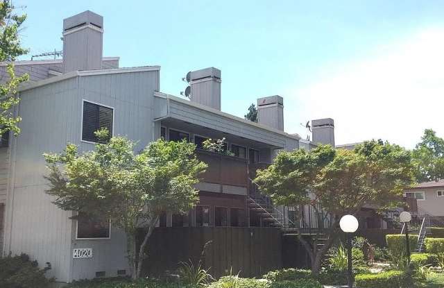4020 Williams Rd Apt 9 photos photos 4020 Williams Rd Apt 9 photos photos