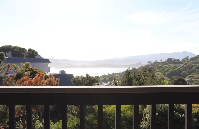 22 Marinero Circle - 22 Marinero Circle, Tiburon, CA 94920