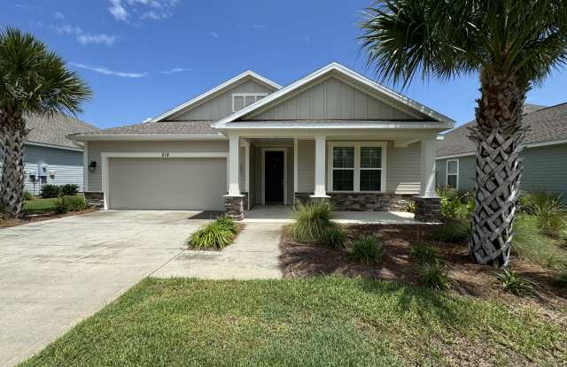 218 Blue Sage Road - 218 Blue Sage Road, Panama City Beach, FL 32413