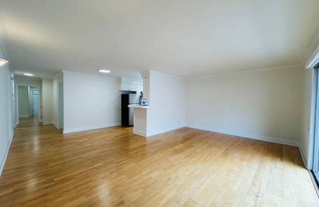 vet182 Gallery 4