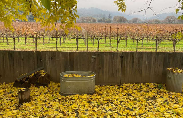 Charming 3 BR / 1 BA Home with Vineyard Views – 31451 Redwood Hwy, Cloverdale, CA - 31451 North Redwood Highway, Sonoma County, CA 95425