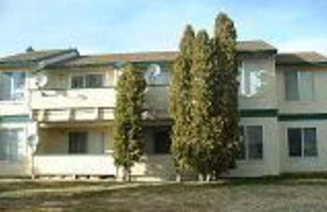 3941 Clear Acre Apt 240 - 3941 Clear Acre Lane, Reno, NV 89512