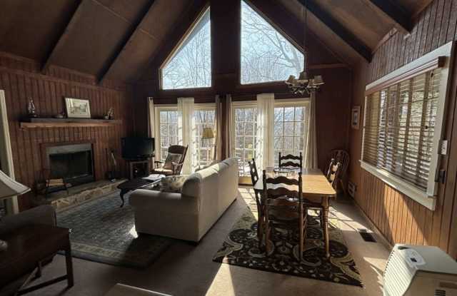 490 Chalet Village Dr Gallery 2