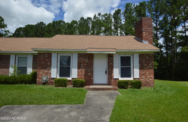 139 Windsor Court - 139 Windsor Court, Pumpkin Center, NC 28546