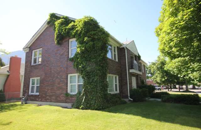 1 Bedroom/1 Bathroom Apartment photos photos