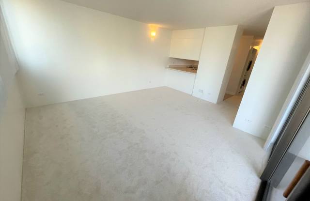 1571 Piikoi St. - Pakalana, 1 bed 1 bath 1 parking available now! NO SECTION 8/HAP photos photos