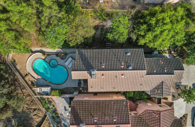 933 Calle La Primavera Gallery 2