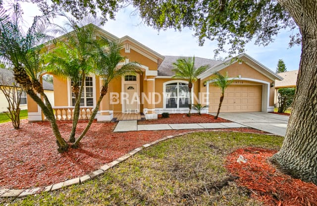 19710 Wyndmill Circle - 19710 Wyndmill Circle, Keystone, FL 33556