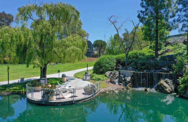Serenity at Larkspur - Affordable Housing photos photos