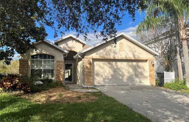 11747 MANISTIQUE WAY - 11747 Manistique Way, Pasco County, FL 34654