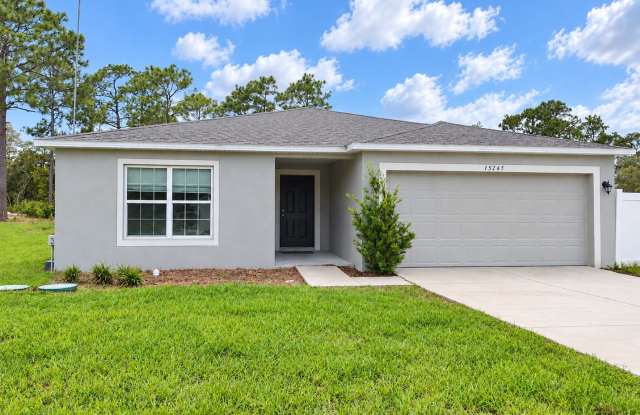 Beautiful four bedroom, two bath, two car garage and a half acre lot Gallery 3
