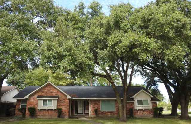 7814 Braesview Lane - 7814 Braesview Lane, Houston, TX 77071
