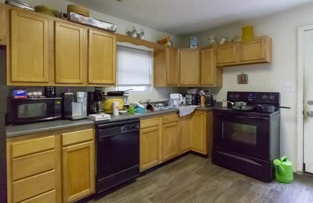 Dishwasher Included - 307 North Tillotson Avenue, Muncie, IN 47304