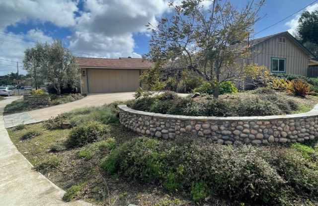 Clairemont Beauty - Welcome Home! photos photos