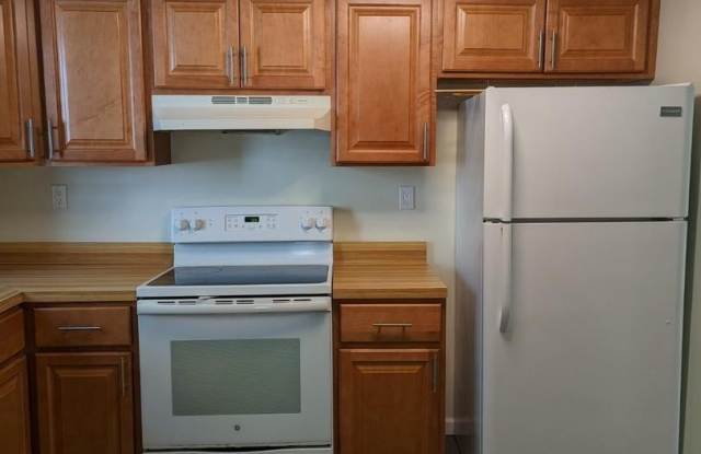 1317 OLD PINE CT Gallery 2