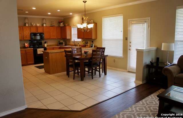 2736 WAR ADMIRAL Gallery 4