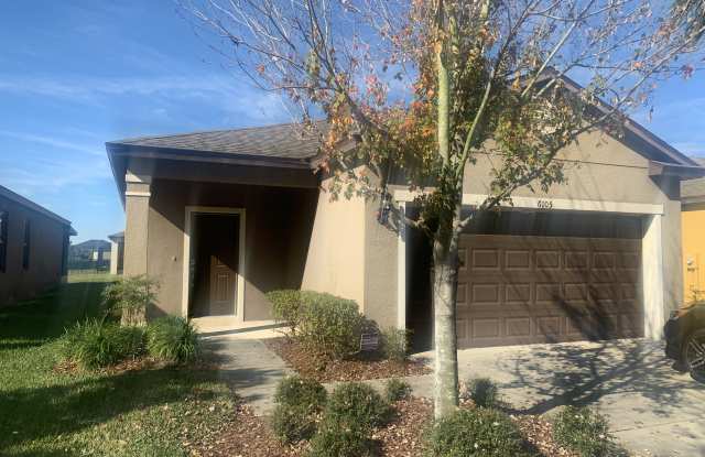 6105 Magnolia Park Blvd - 6105 Magnolia Park Boulevard, Progress Village, FL 33578