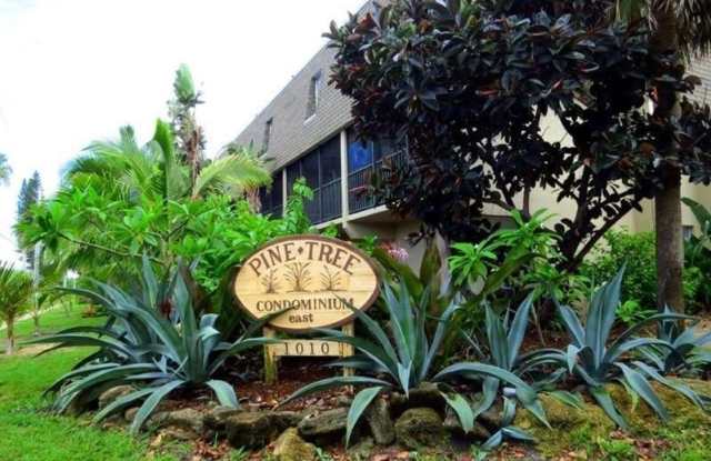 1010 Pine Tree Drive Gallery 2