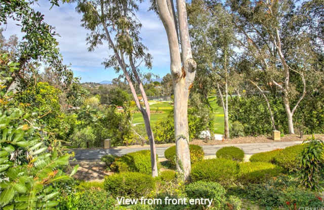 26466 Zoraida Gallery 4