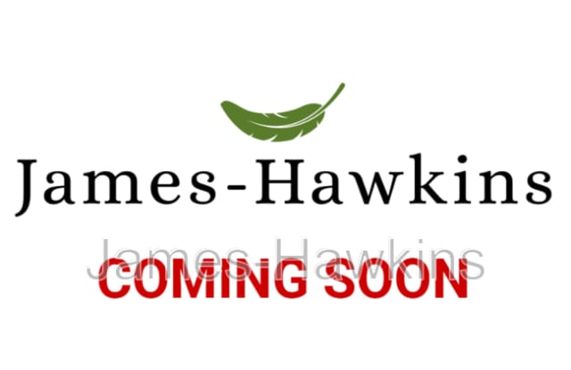 2405 Palmetto St. Unit B, Montgomery, AL 36107 photos photos