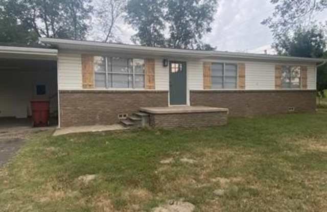 1610 W Frank Street - 1610 West Frank Street, Grand Saline, TX 75140