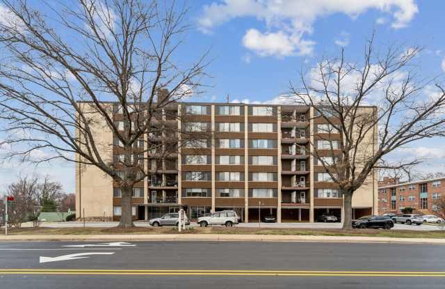 Stunning 1 bed 1 bath condo! photos photos