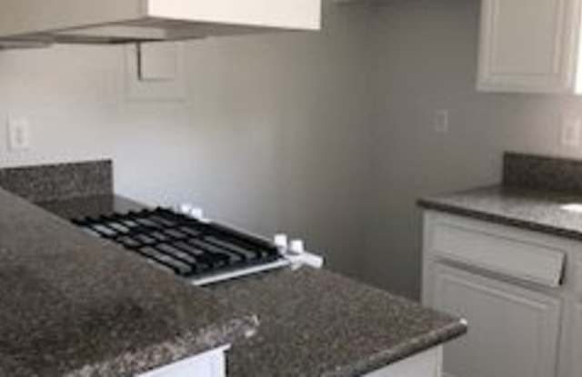1107 W CALLE DE LAS ESTRELLAS #1 Gallery 4