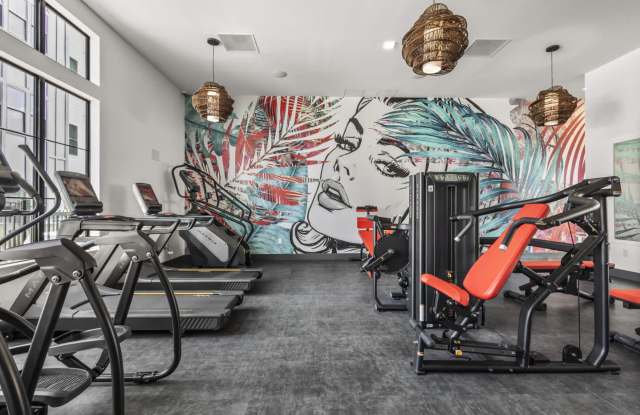 Azalea Luxury Apartments Gallery 3