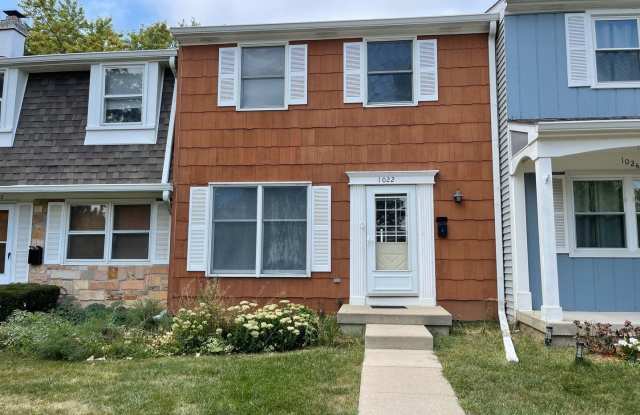1022 Denham Place - 1022 Denham Place, Schaumburg, IL 60194