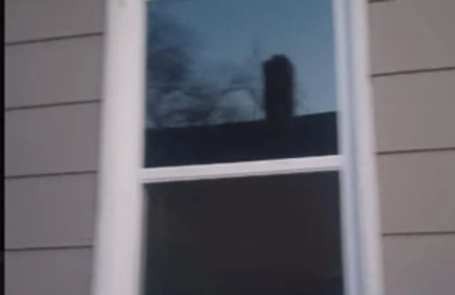 320 Cokesbury Street - 320 Cokesbury Street, Greenwood, SC 29649 320 Cokesbury Street - 320 Cokesbury Street, Greenwood, SC 29649