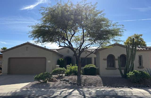 16919 W. Villagio Drive photos photos