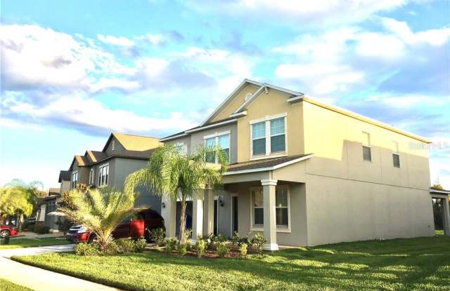 14063 TROPICAL KINGBIRD WAY - 14063 Tropical Kings Way, Riverview, FL 33579