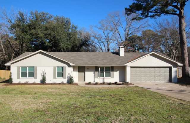 Coming Soon: 3 Bedroom, 2 Bath Home in Flint! Gallery 1
