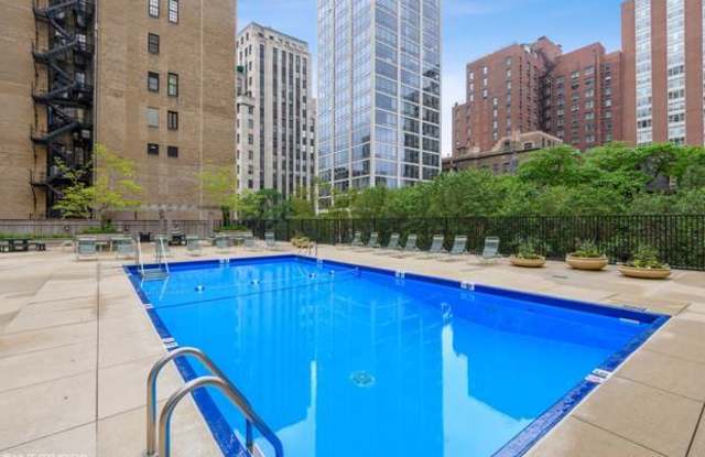 1310 N Ritchie Ct - 1310 North Ritchie Court, Chicago, IL 60610