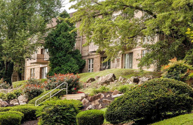 Top of the Hill Apartments Gallery 1