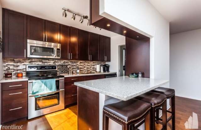 50 East Bellevue Condominiums Gallery 2