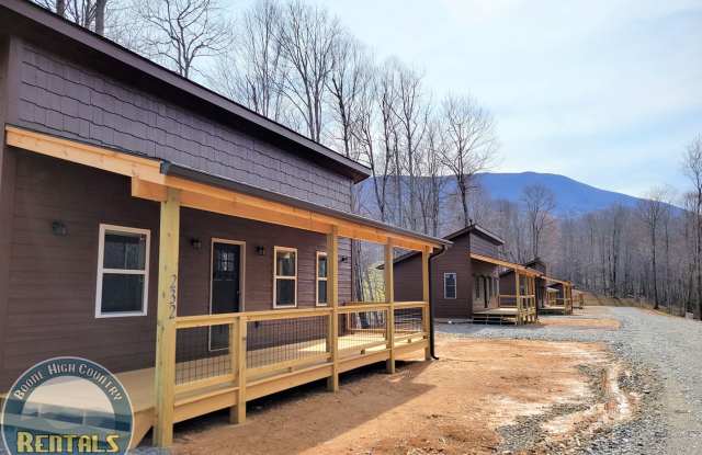 Beautiful 1bd Cabin In Trade, Tennessee photos photos