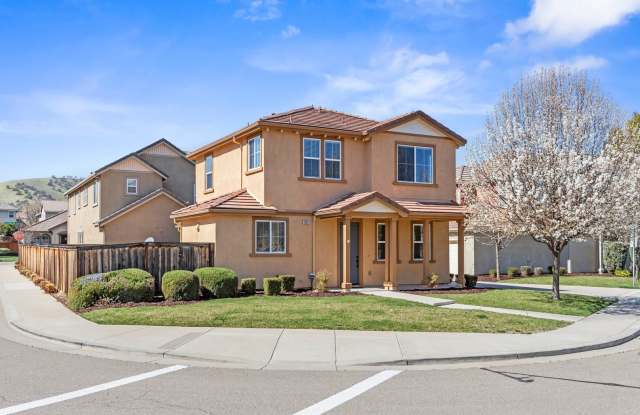 20833 Grapevine Drive - 20833 Grapevine Drive, Diablo Grande, CA 95363
