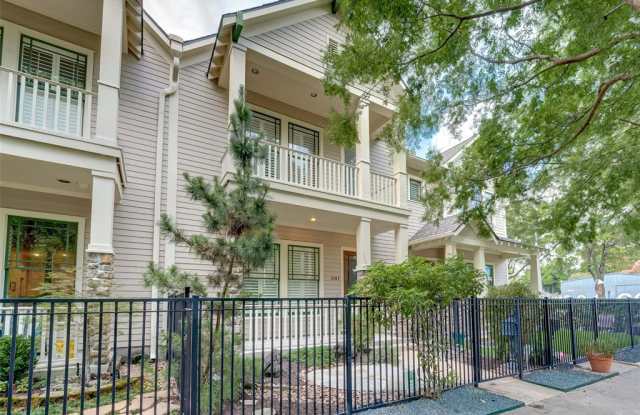 1141 Louise Street - 1141 Louise Street, Houston, TX 77009
