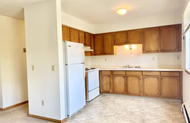 500 2nd St - 500 2nd Street, Excelsior, MN 55331