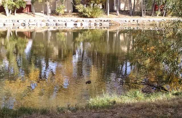 12150 Melody Dr. 105 - 12150 Melody Drive, Westminster, CO 80234