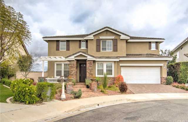 1 Wild Rose Place - 1 Wild Rose Place, Aliso Viejo, CA 92656