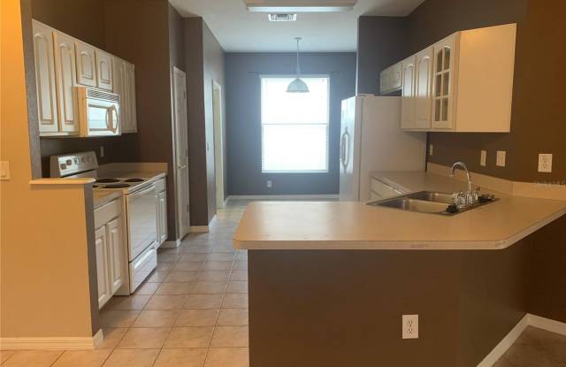 19132 Wood Sage Dr, Tampa, FL33647 Gallery 4