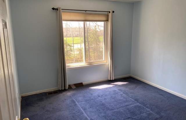 1215 CHANTICLEER Gallery 4