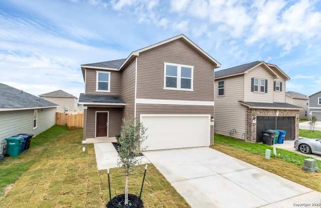 14458 RIBBON TAIL photos photos