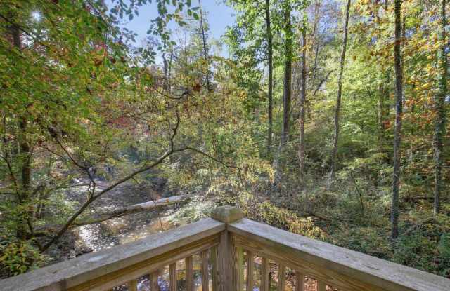 The Falls at Sope Creek Gallery 4