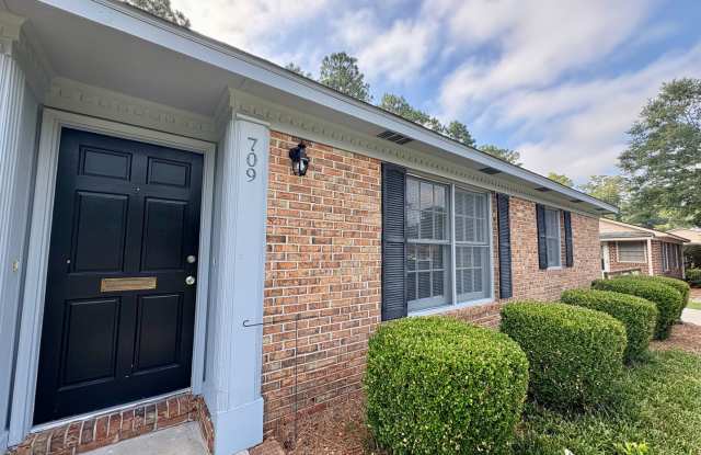 Pet Friendly 2 Bedroom, 1 Bath Duplex Located in the Center of Wilmington photos photos