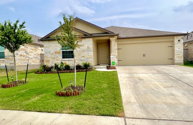 318 Arnage Dr - 318 Arnage Drive, Hutto, TX 78634