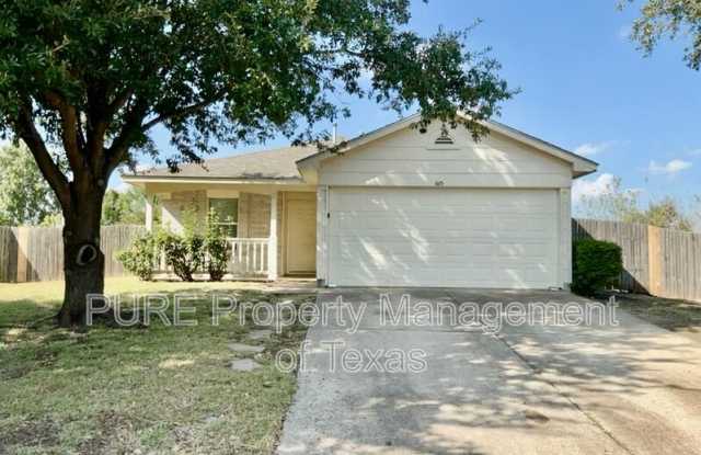 615 Losoya Ct - 615 Losoya Court, Hutto, TX 78634