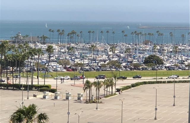 455 E Ocean Boulevard Gallery 3